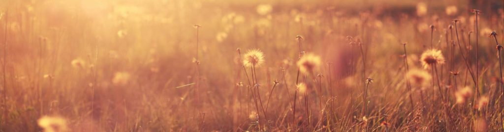 Personal Injury case studies farleys solicitors