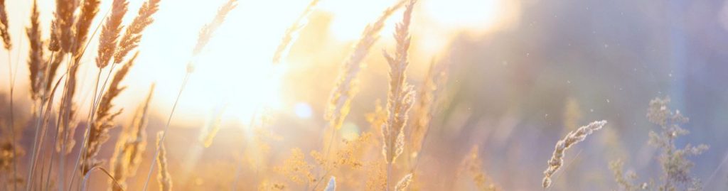 Personal Injury case studies farleys solicitors