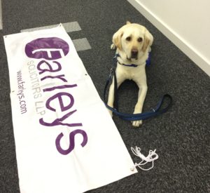 Farleys and Support Dogs UK