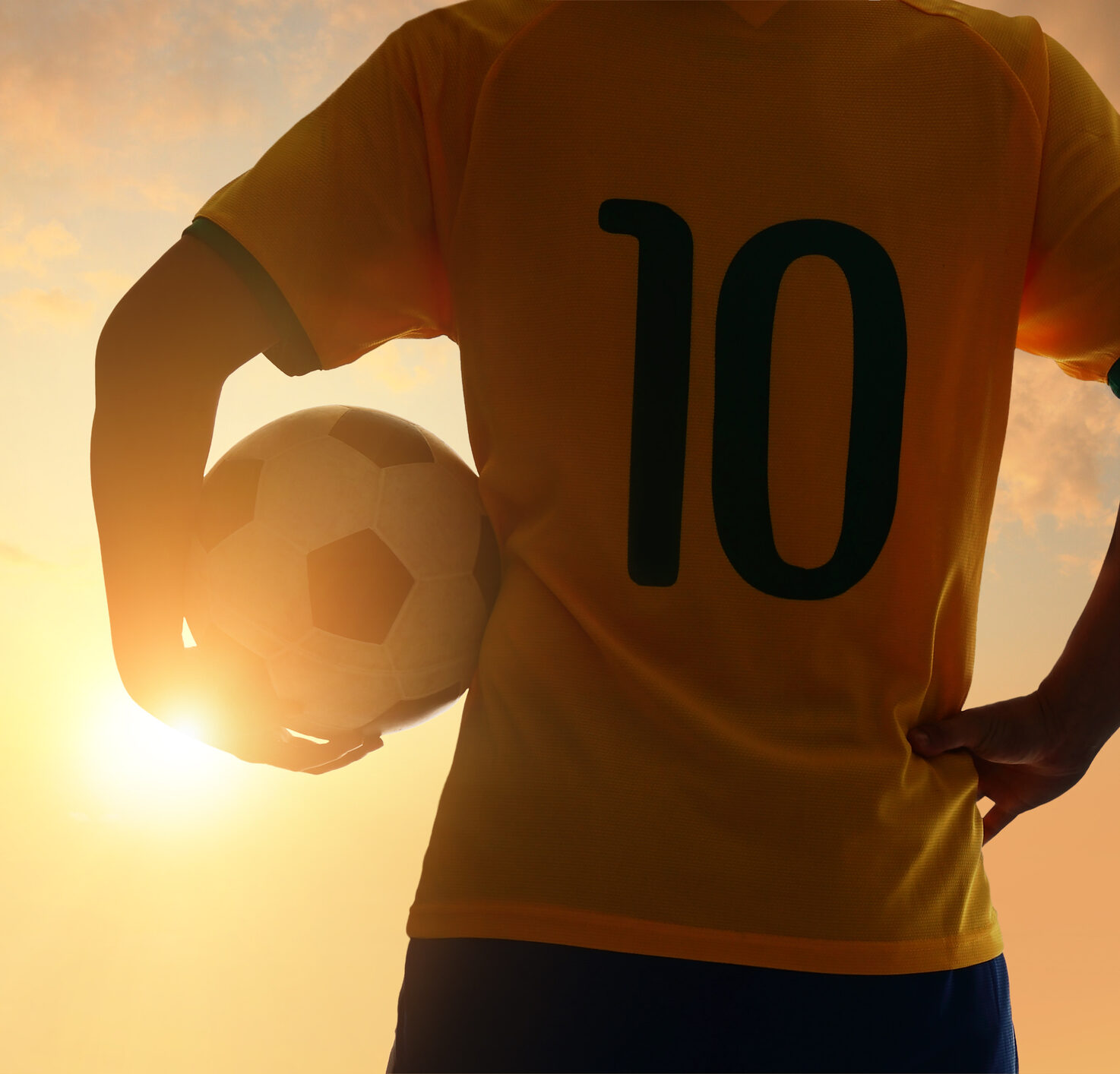 Sports Law – Services